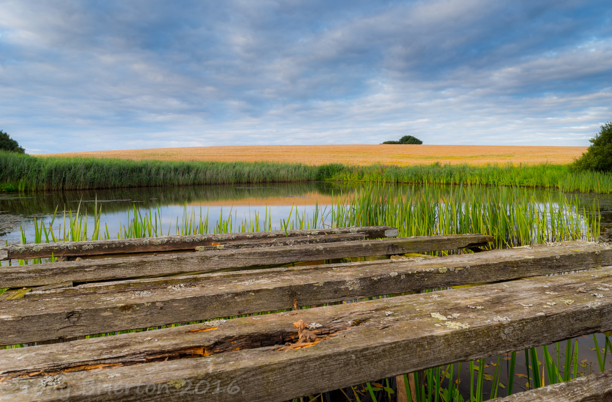 Sony a99 II + Minolta AF 28-80mm F3.5-5.6 II sample photo. The dock by the pond. photography