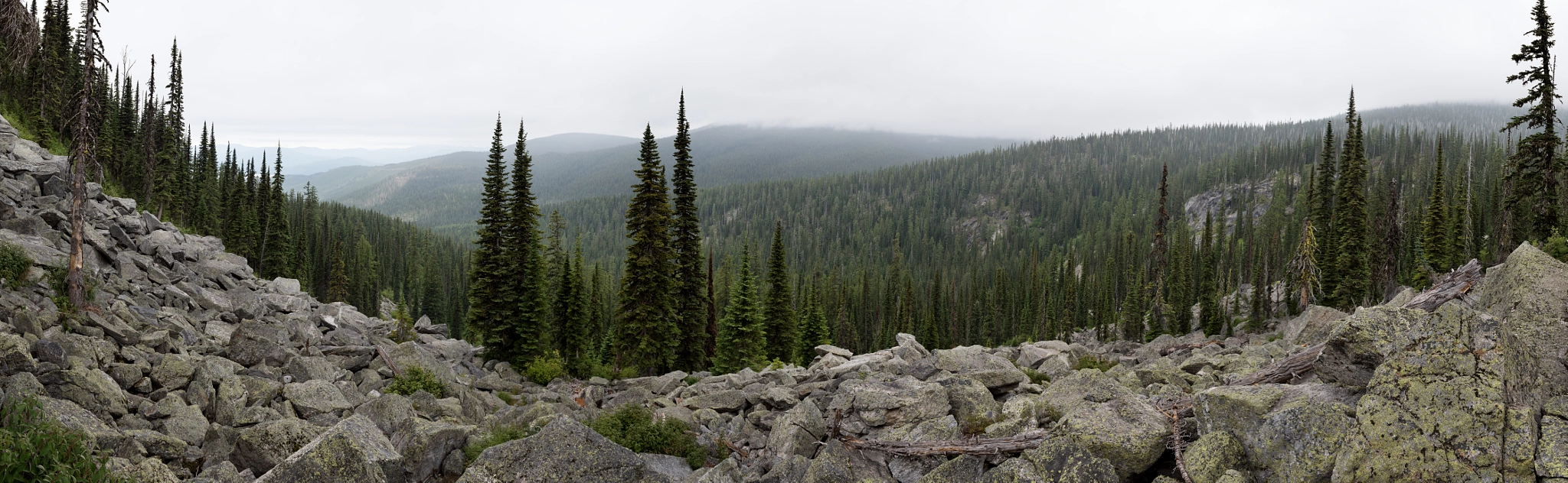 Hunt Lake Trail Panorama
