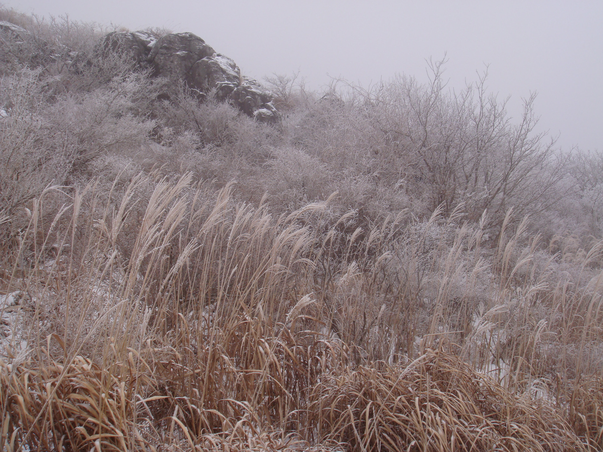 Sony DSC-T70 sample photo. 무등산 산행 () photography