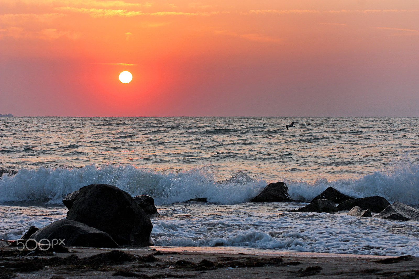 Canon EOS 450D (EOS Rebel XSi / EOS Kiss X2) sample photo. Sunrise on the beach photography