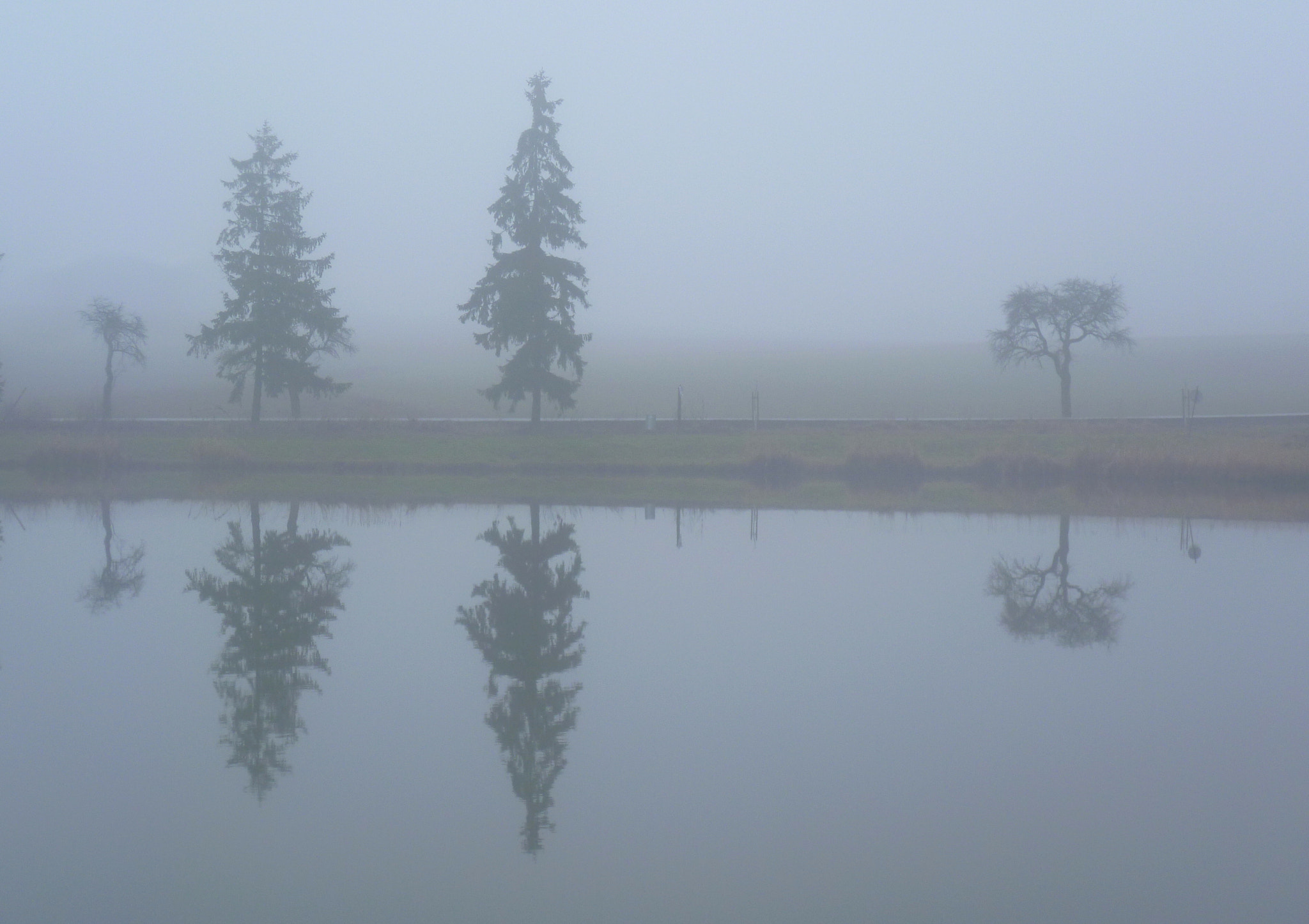 Panasonic DMC-FS10 sample photo. Mlha u rybníka (fog by the pond) photography