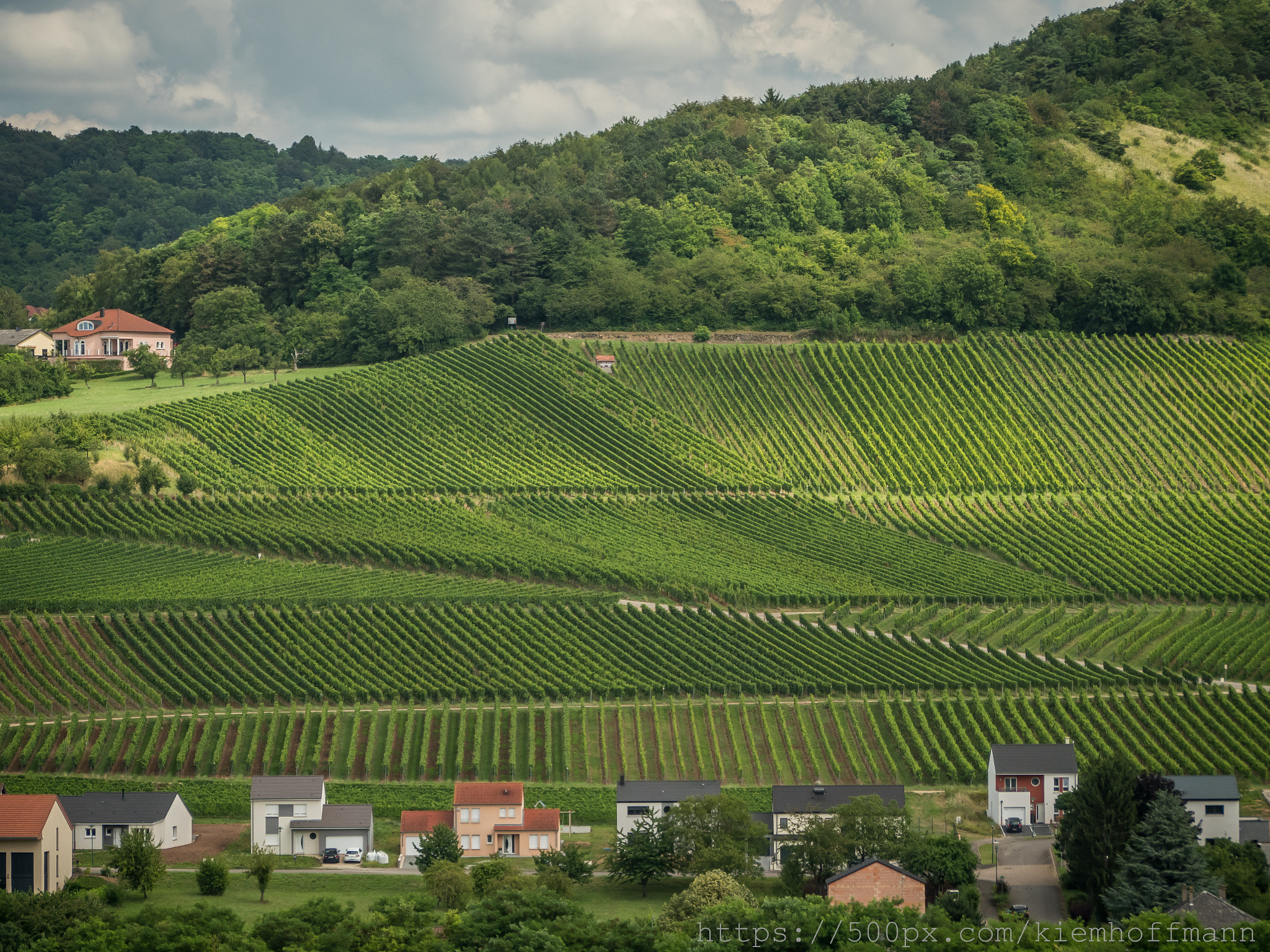 Panasonic Lumix G Vario 45-200mm F4-5.6 OIS sample photo. Vineyards near schengen, luxemburg photography