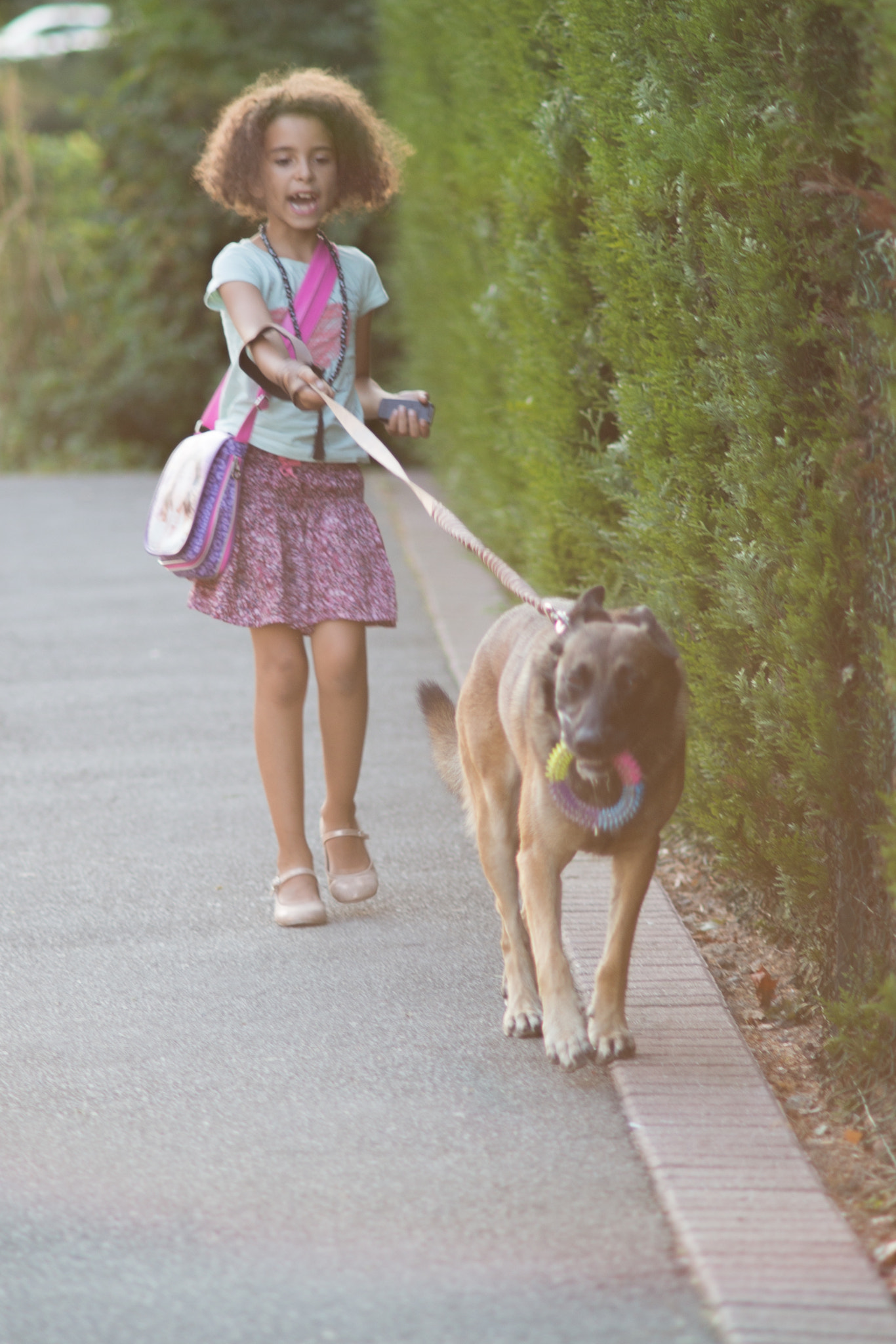 Minolta AF 135mm F2.8 sample photo. Dog photography