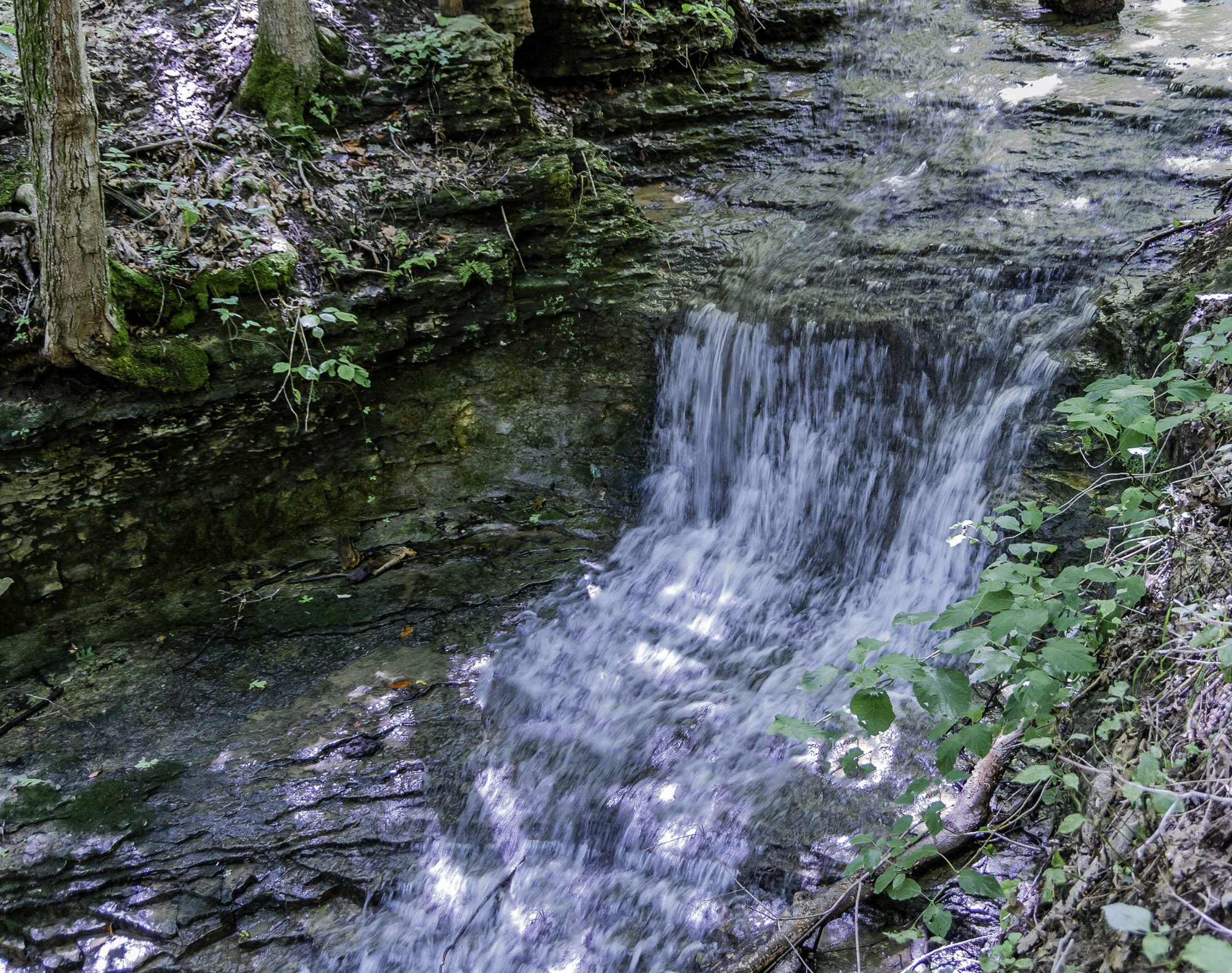 Pentax K20D sample photo. Ctt # photography