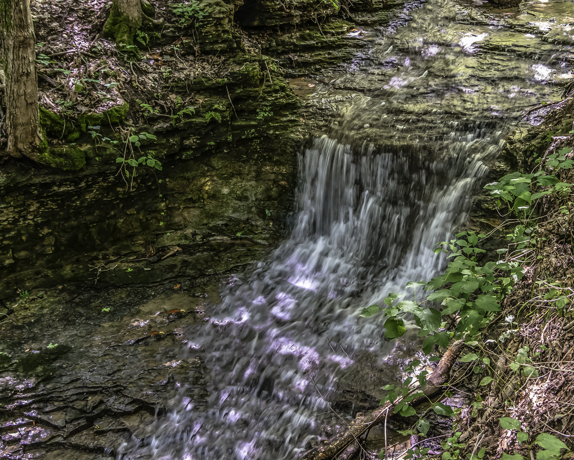 Pentax K20D sample photo. Ctt # photography