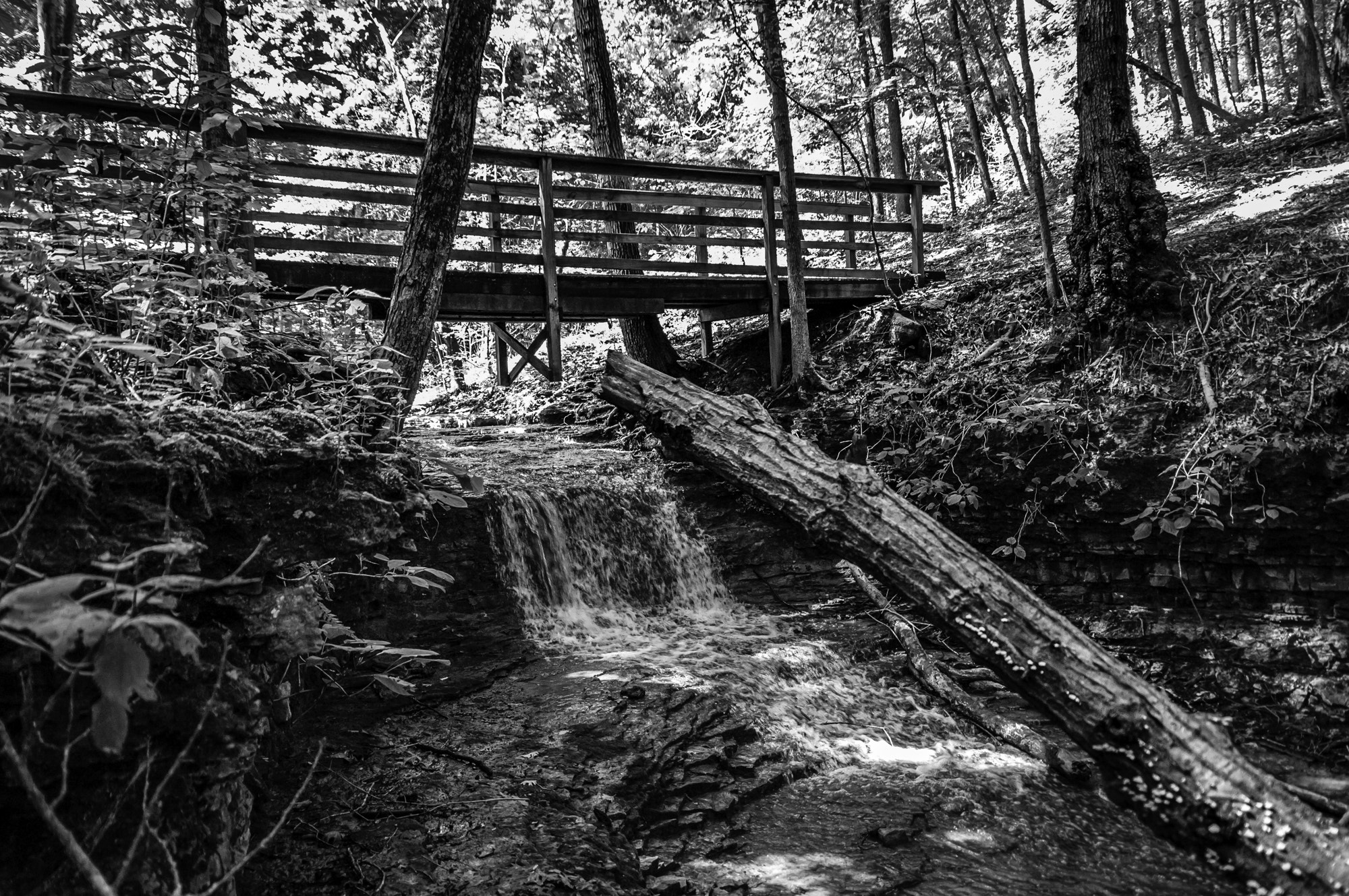 Pentax K20D sample photo. Ctt # photography