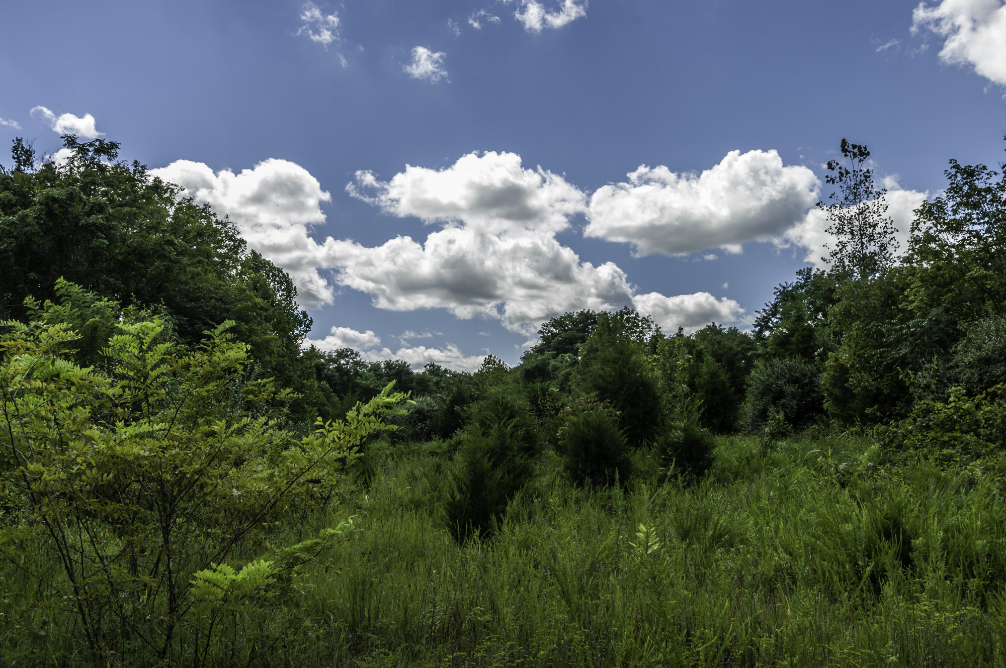 Pentax K20D sample photo. Ctt # photography