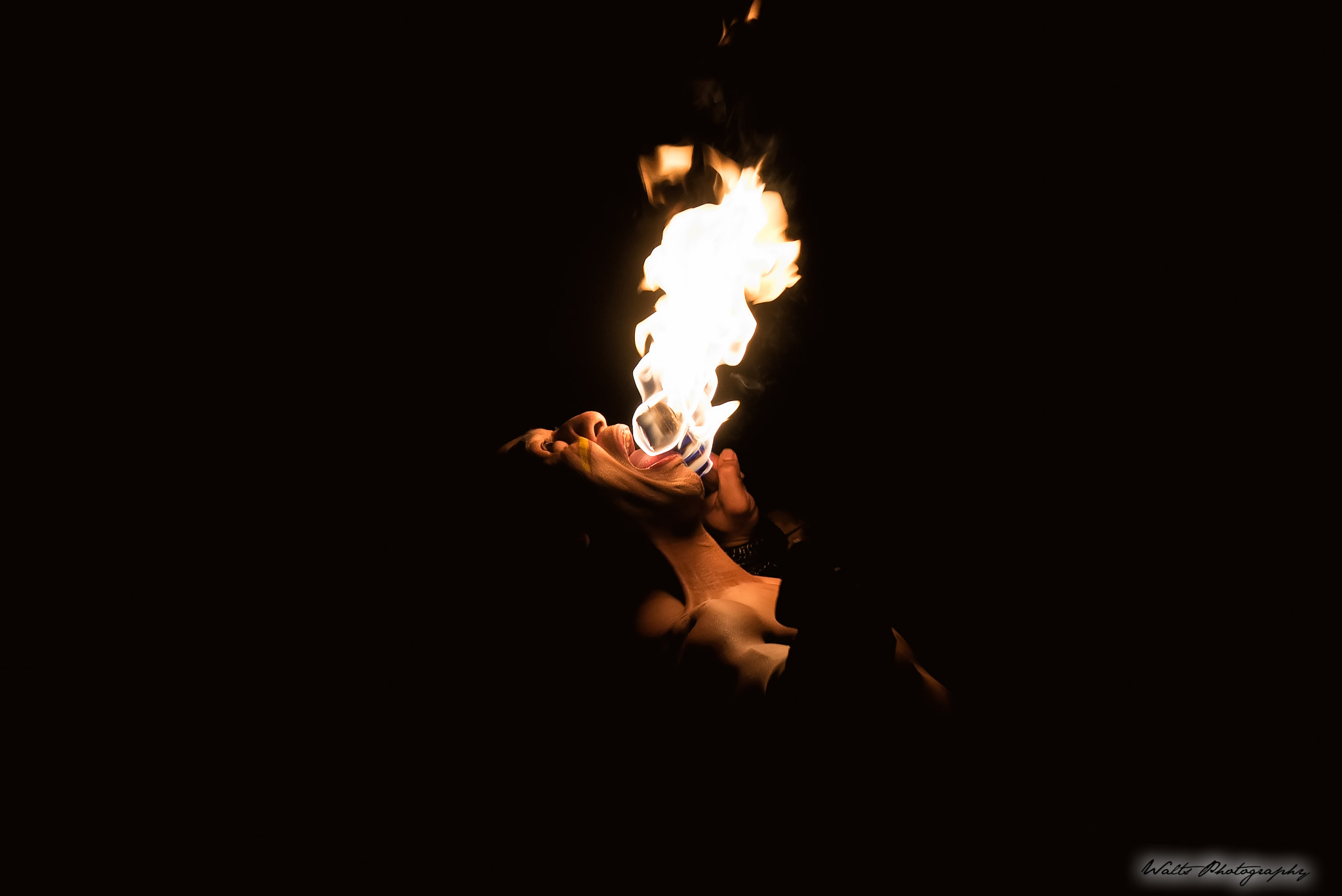 Nikon D600 sample photo. Fire eater lion king show photography