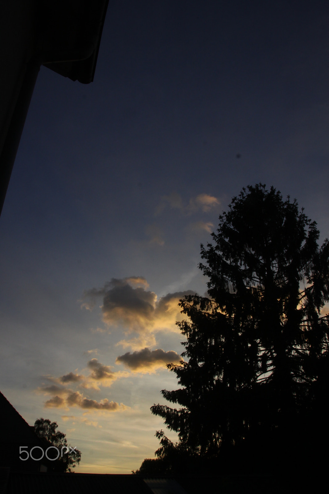 Canon EOS 50D sample photo. Tree at sunrise photography