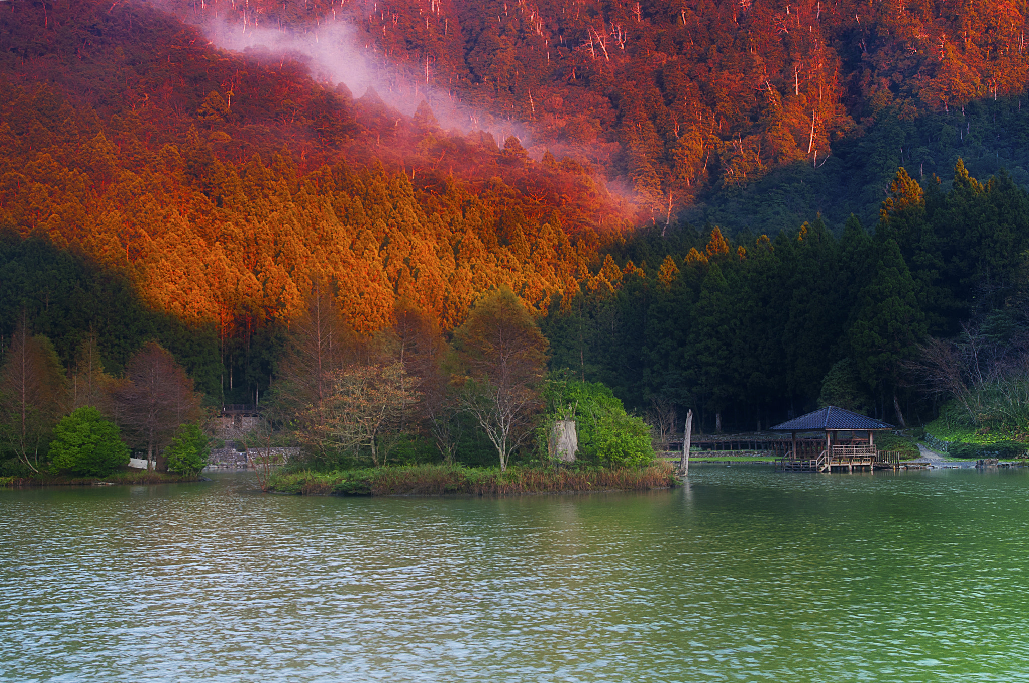 Sigma 17-70mm F2.8-4.5 DC Macro Asp. IF sample photo. 明池國家森林遊樂區 photography