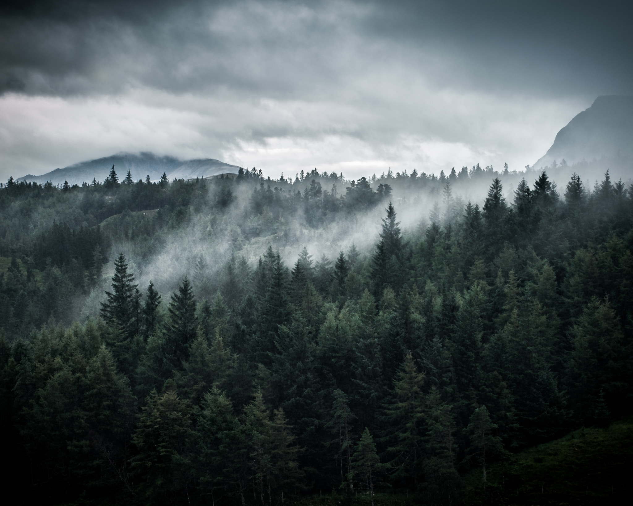 Sigma 70-200mm F2.8 EX DG Macro HSM II sample photo. The mist rises photography