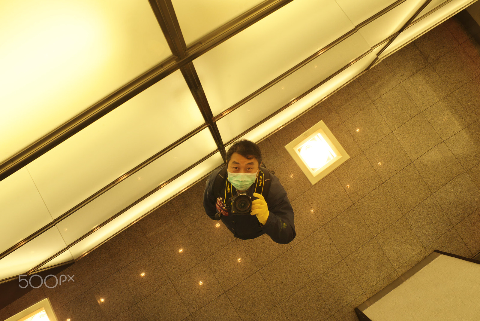Nikon D600 sample photo. From up and down photography