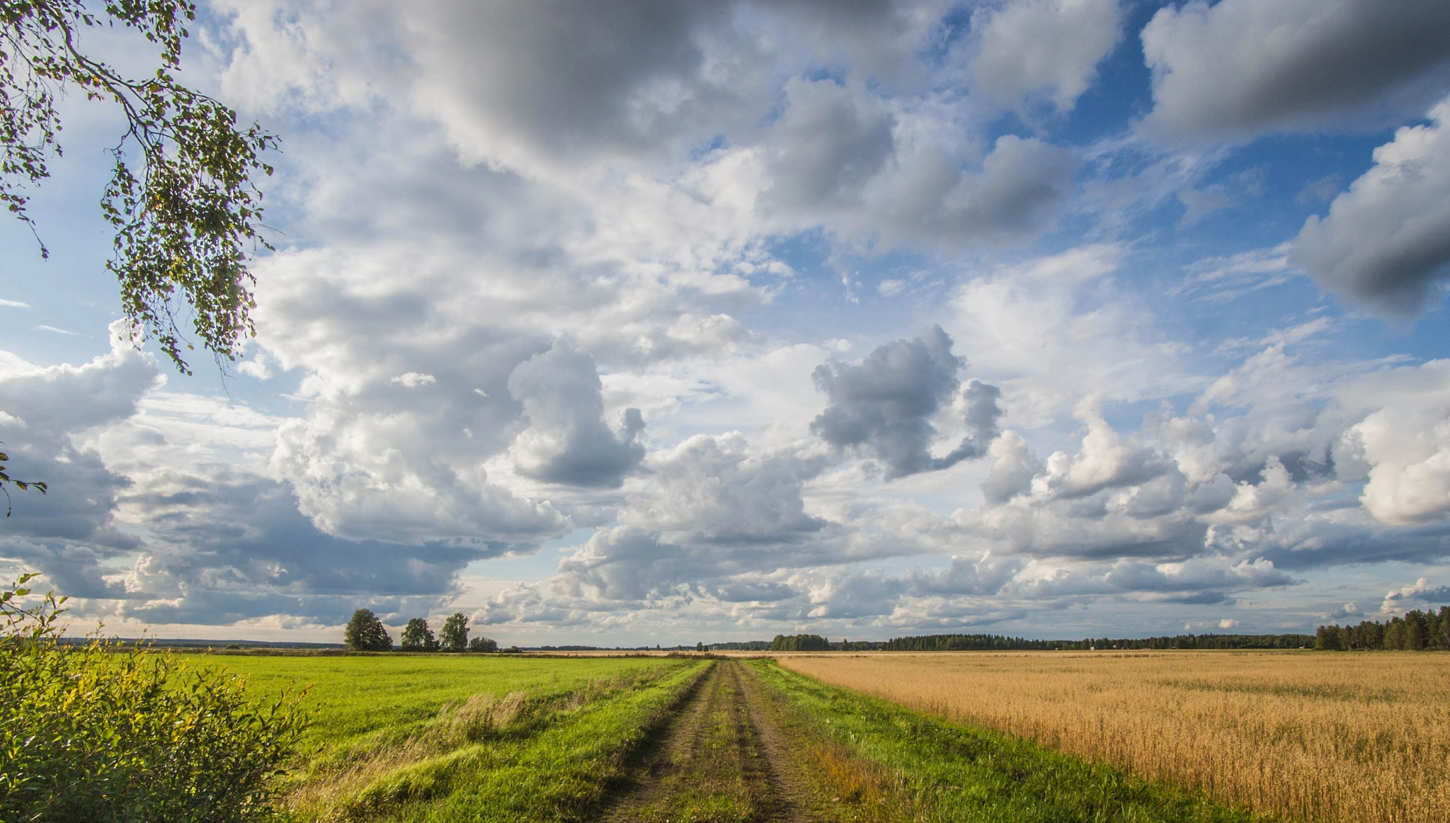 Canon EOS-1D Mark II sample photo. Clouds photography