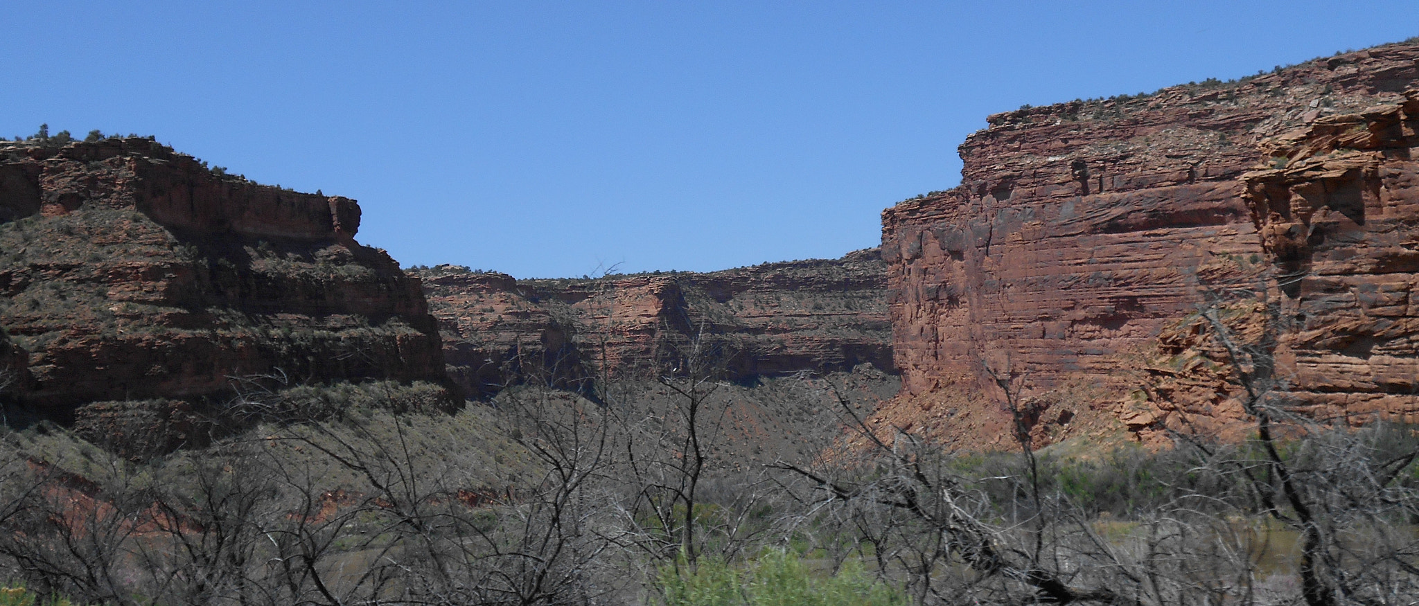 Nikon COOLPIX L30 sample photo. Bear canyon moab photography