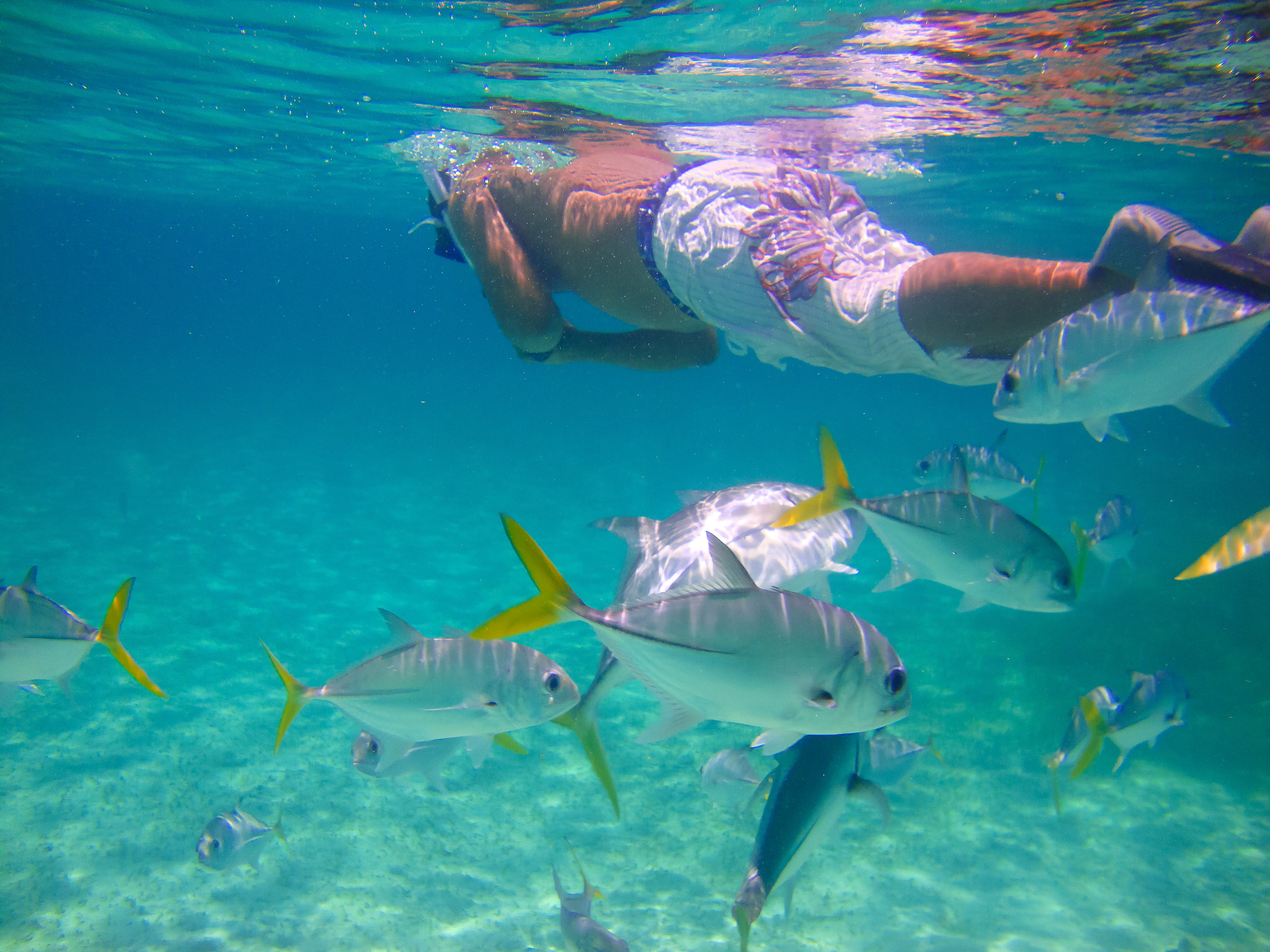 Sony Cyber-shot DSC-W220 sample photo. Belize barrier reef photography