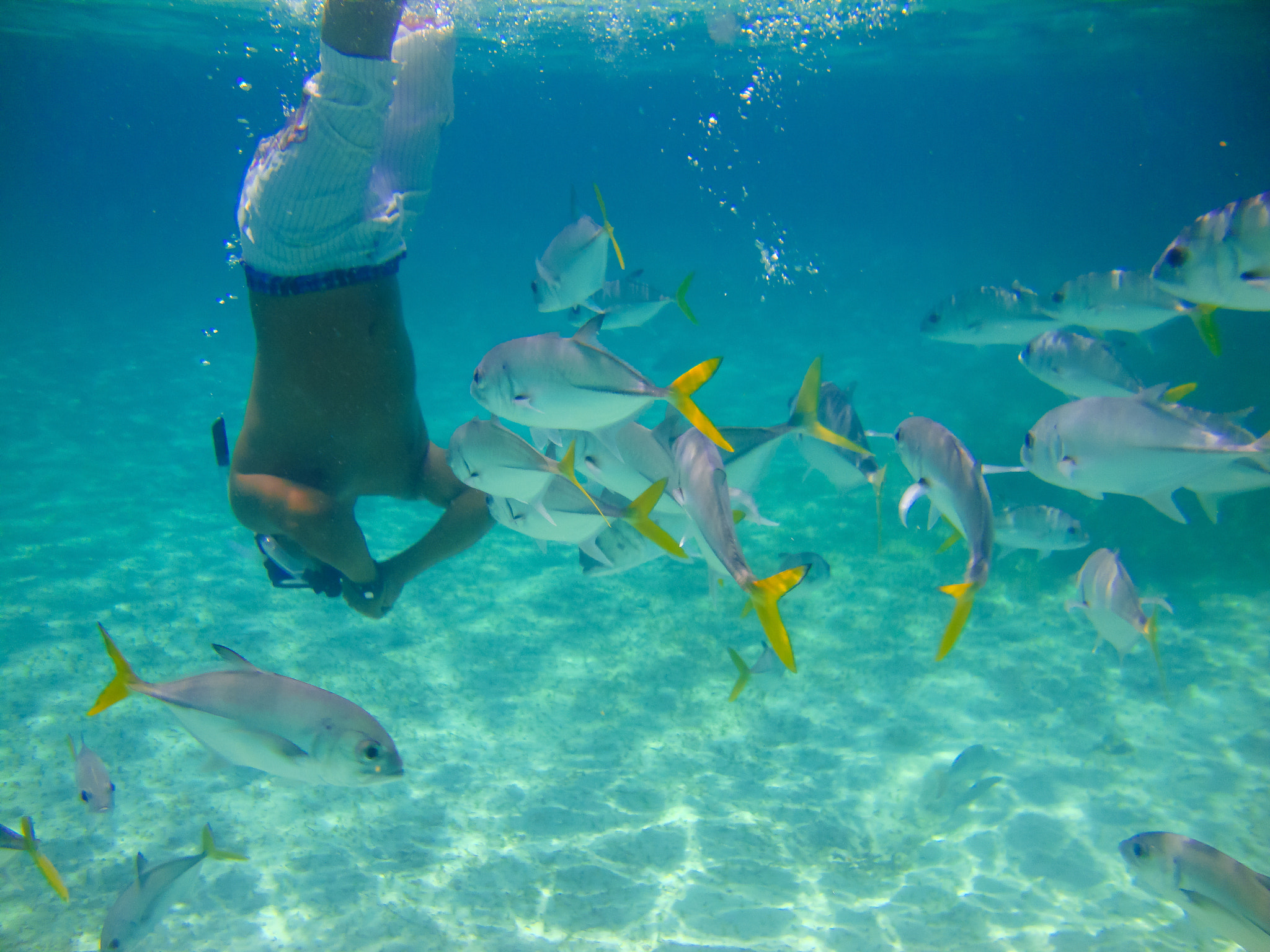 Sony Cyber-shot DSC-W220 sample photo. Belize barrier reef photography