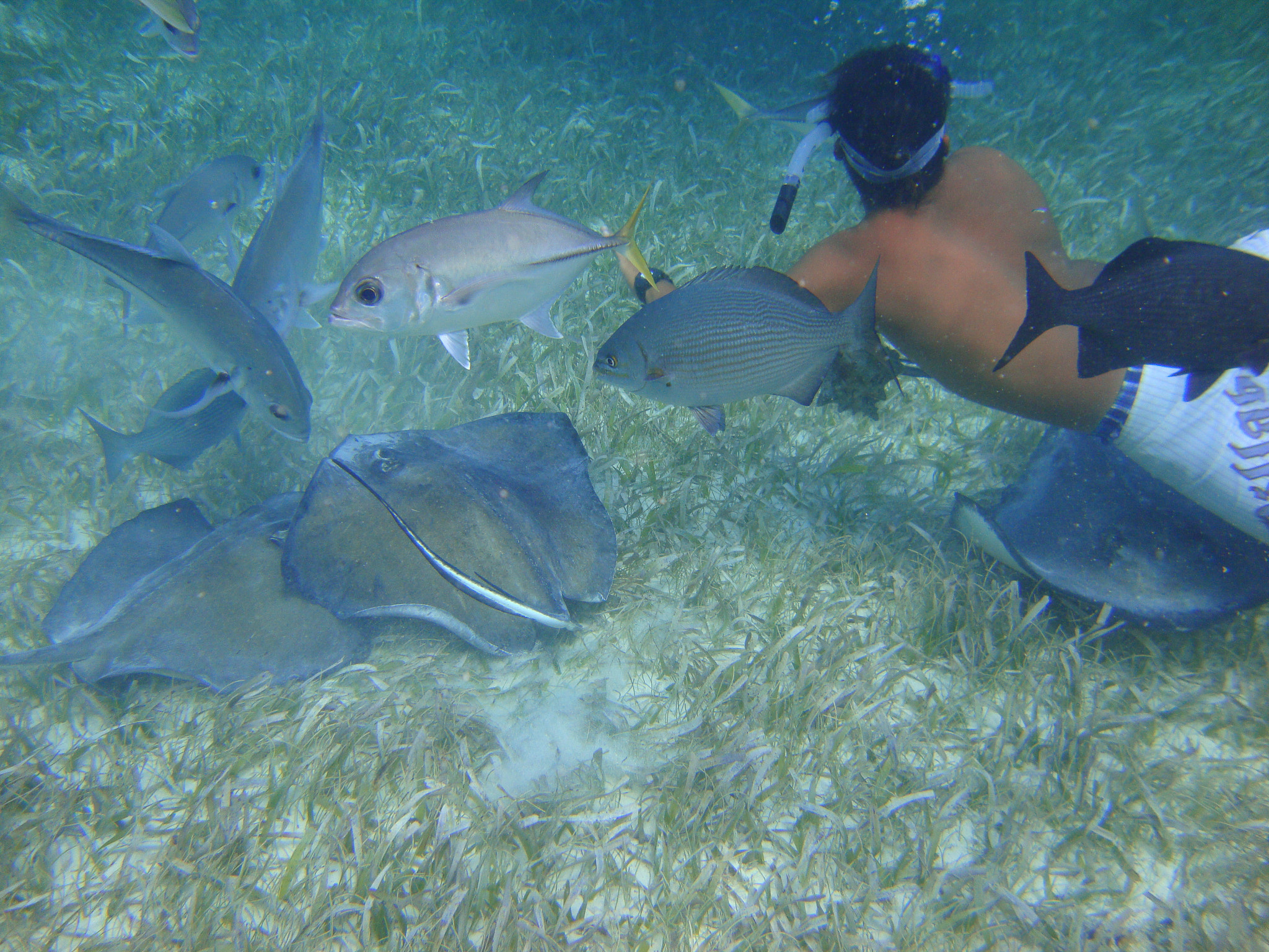 Sony Cyber-shot DSC-W220 sample photo. Belize barrier reef photography