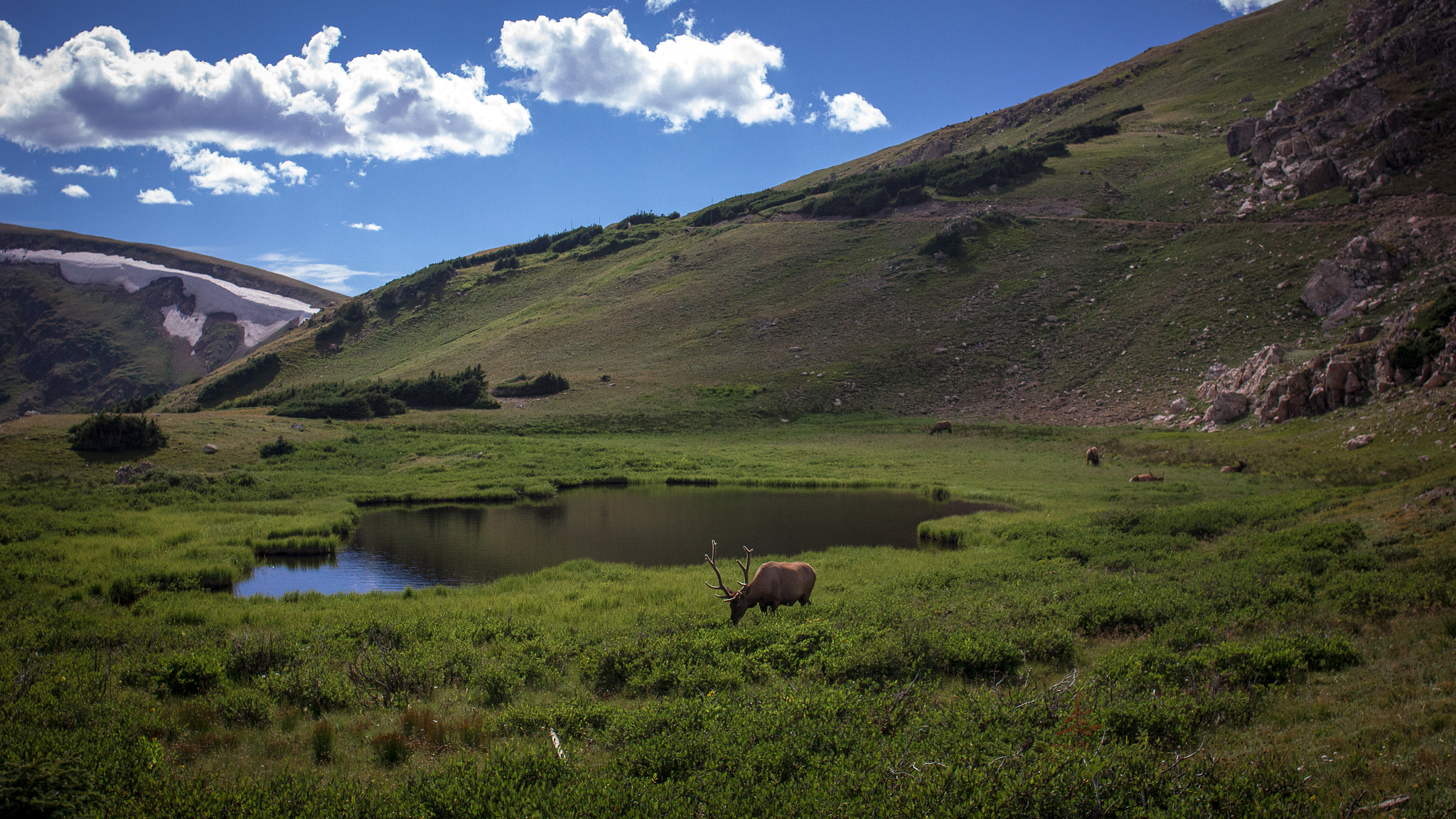 Canon EF 24mm F2.8 IS USM sample photo. Alpine lunch photography