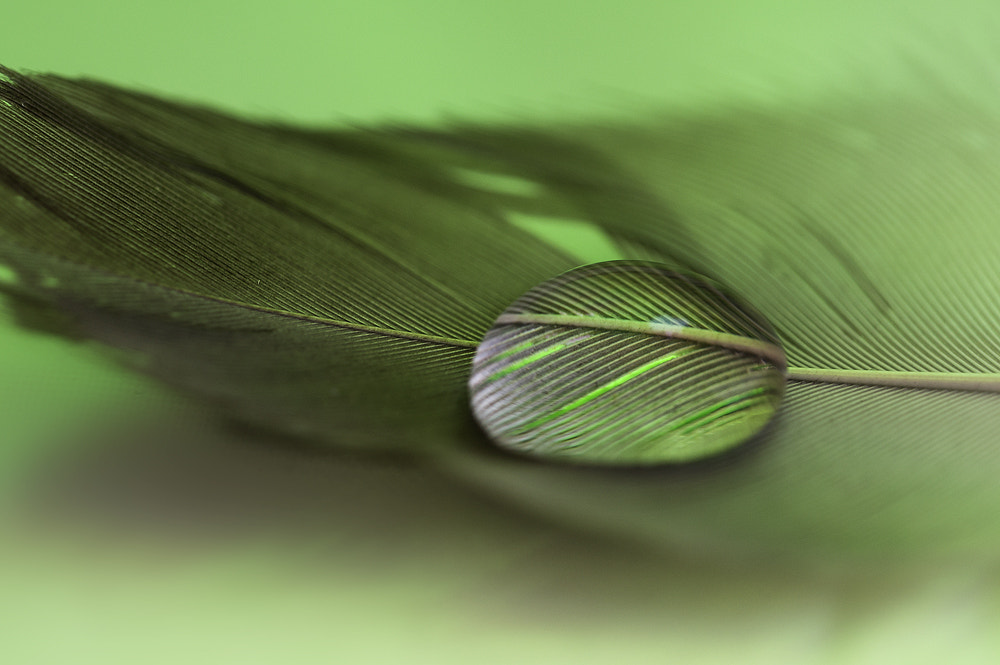 Sigma 150mm F2.8 EX DG OS Macro HSM sample photo. Drop photography
