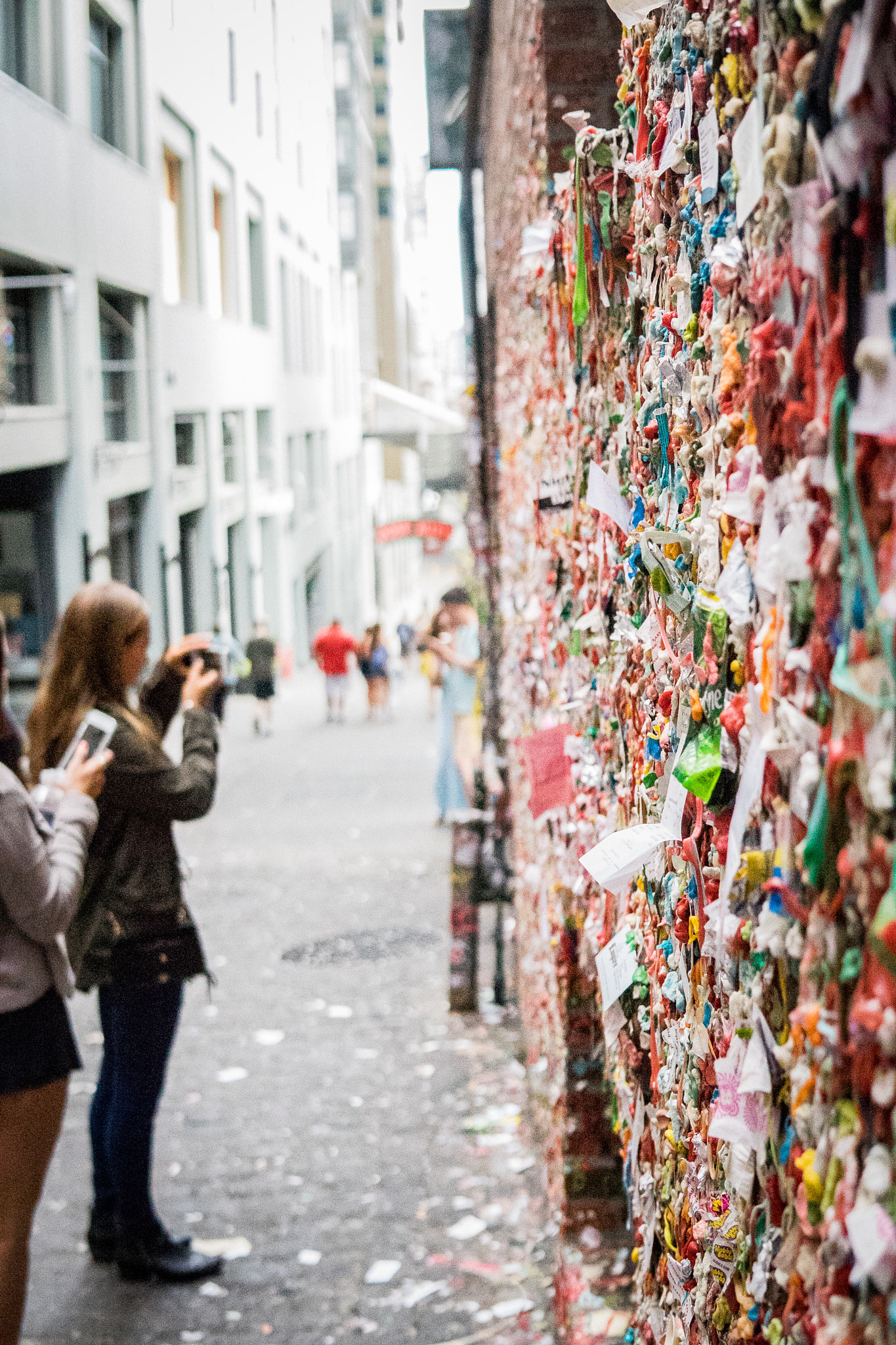 Sony a7 + Sigma 30mm F1.4 DC DN | C sample photo. Gumwall photography