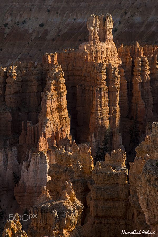 Nikon D5 sample photo. Bryce canyon photography