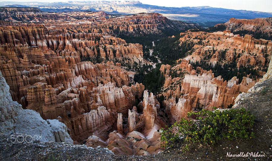 Nikon D5 sample photo. Bryce canyon photography