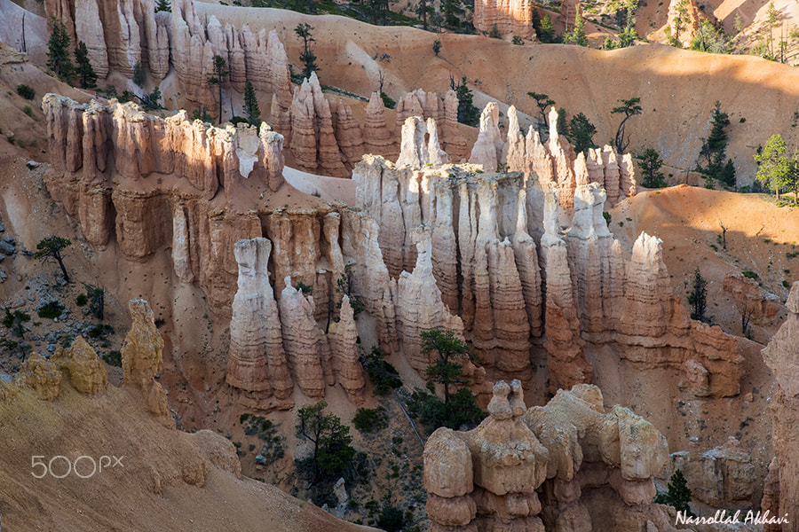 Nikon D5 sample photo. Bryce canyon photography