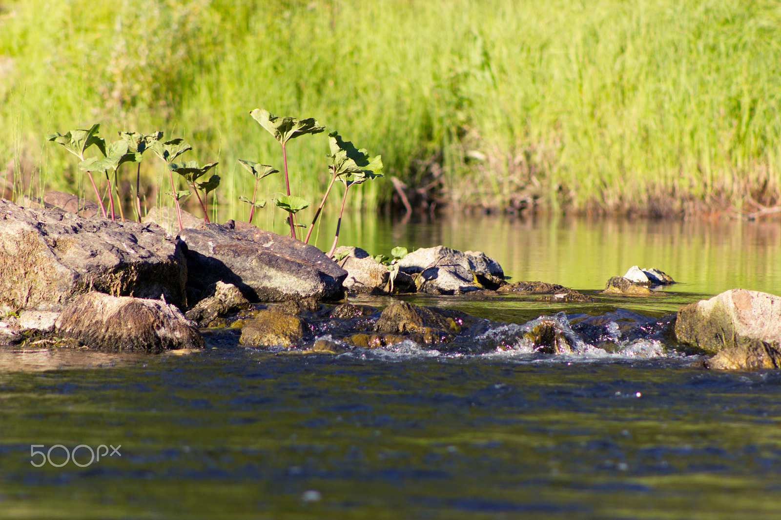 Canon EOS 550D (EOS Rebel T2i / EOS Kiss X4) + Canon EF 75-300mm f/4-5.6 USM sample photo. Rapids on the river photography