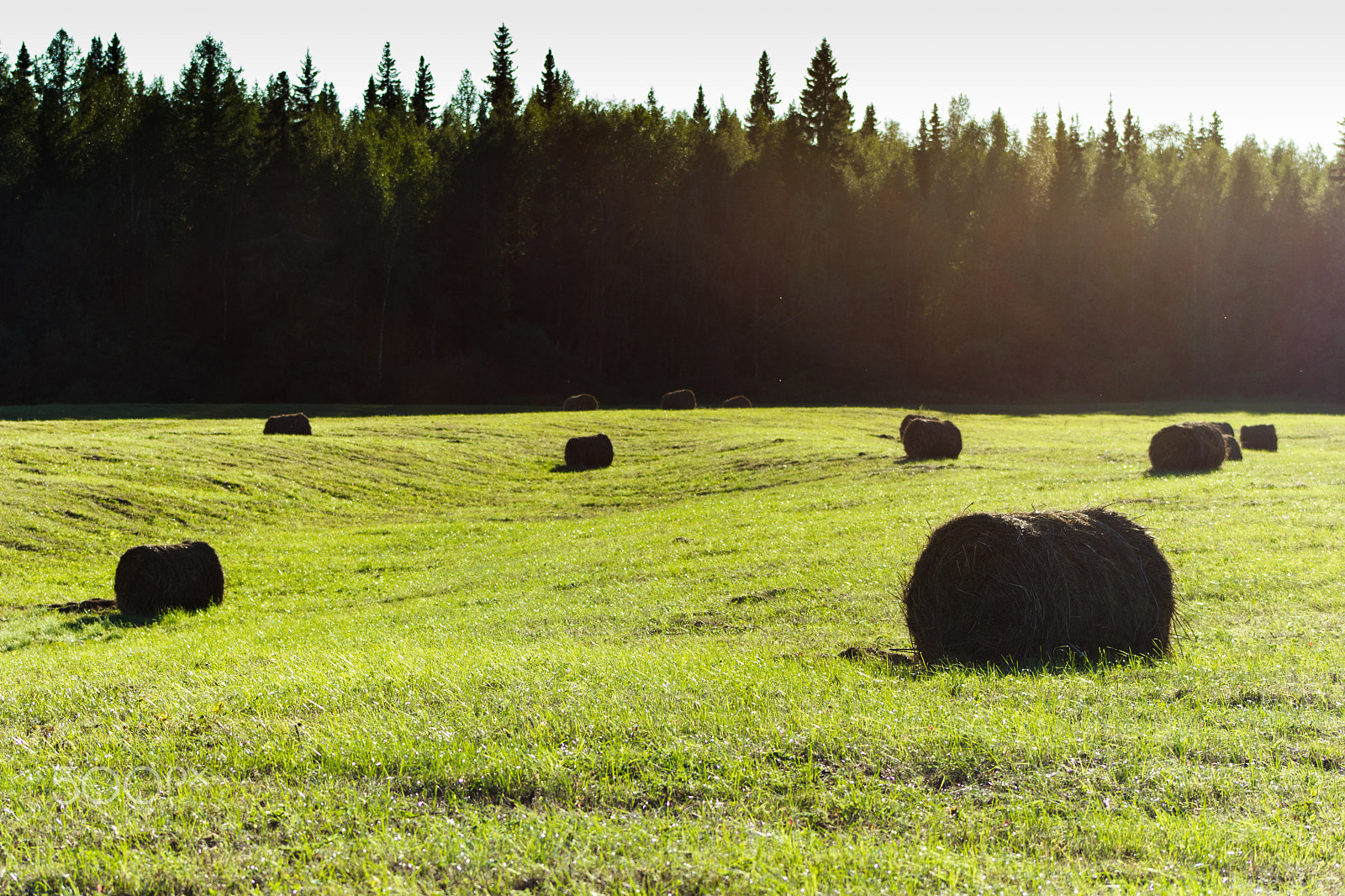 Canon EF 75-300mm f/4-5.6 USM sample photo. Rural landscape with haystacks photography