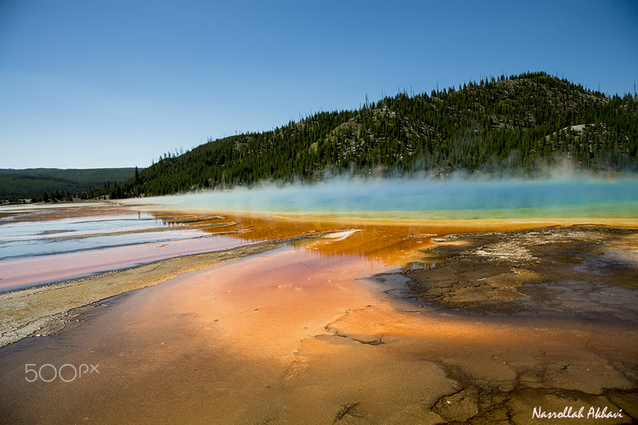 Nikon D5 sample photo. Color of yellowstone photography