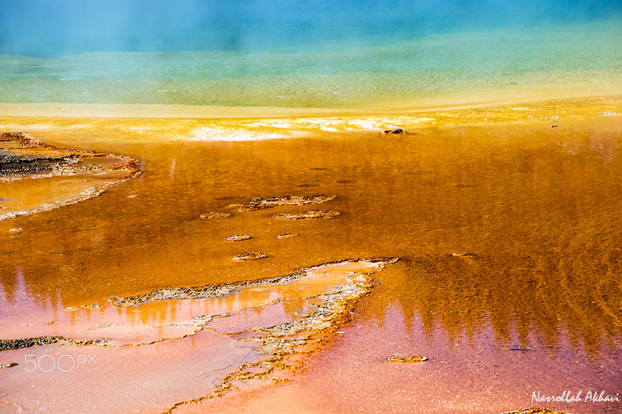 Nikon D5 sample photo. Color of yellowstone photography