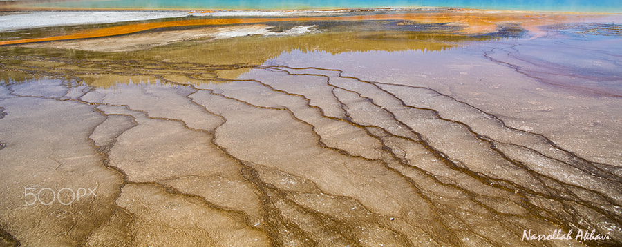Nikon D5 sample photo. Color of yellowstone photography
