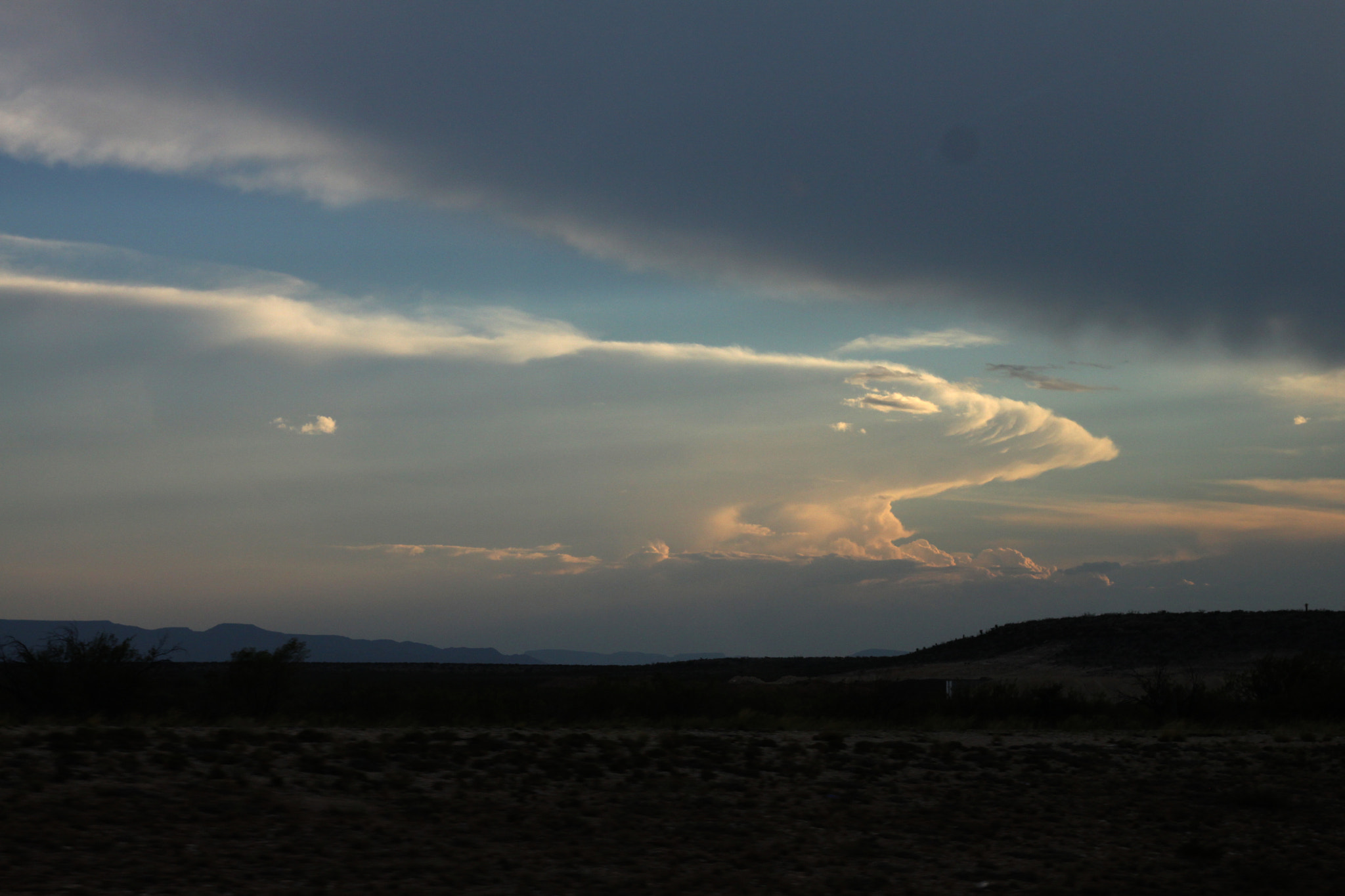 Canon EOS 500D (EOS Rebel T1i / EOS Kiss X3) sample photo. . photography