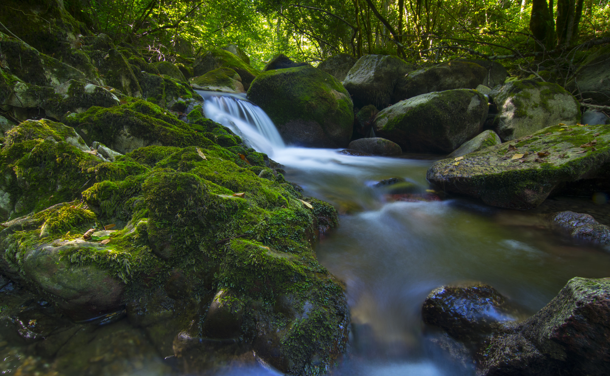 Pentax smc DA 12-24mm F4.0 ED AL (IF) sample photo. Creek lost photography