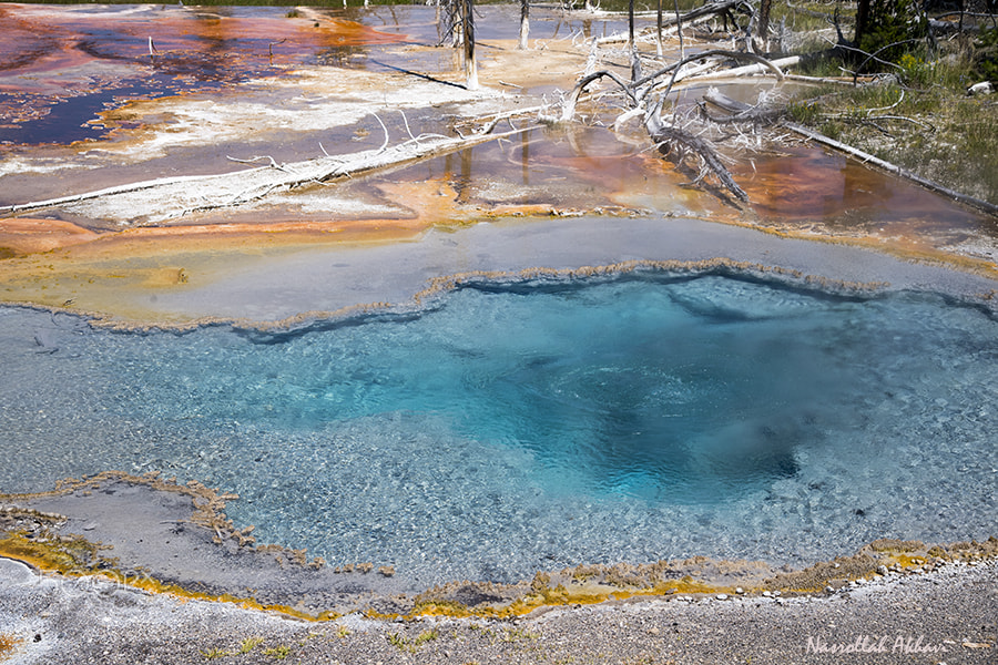 Nikon D5 sample photo. Yellowstone color photography