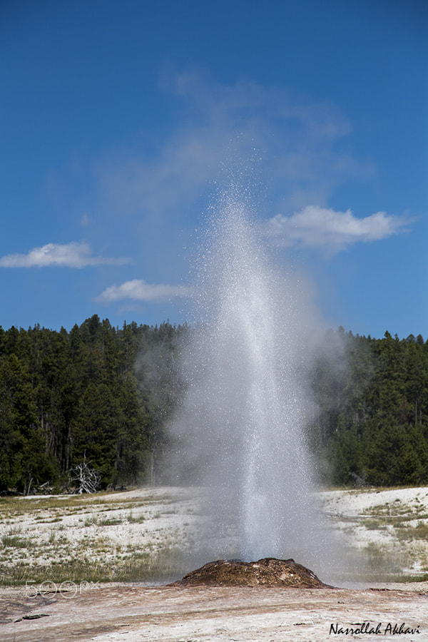 Nikon D5 sample photo. Yellowstone color photography