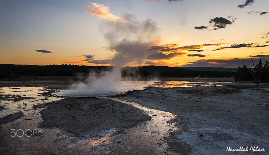 Nikon D5 sample photo. Yellowstone color photography