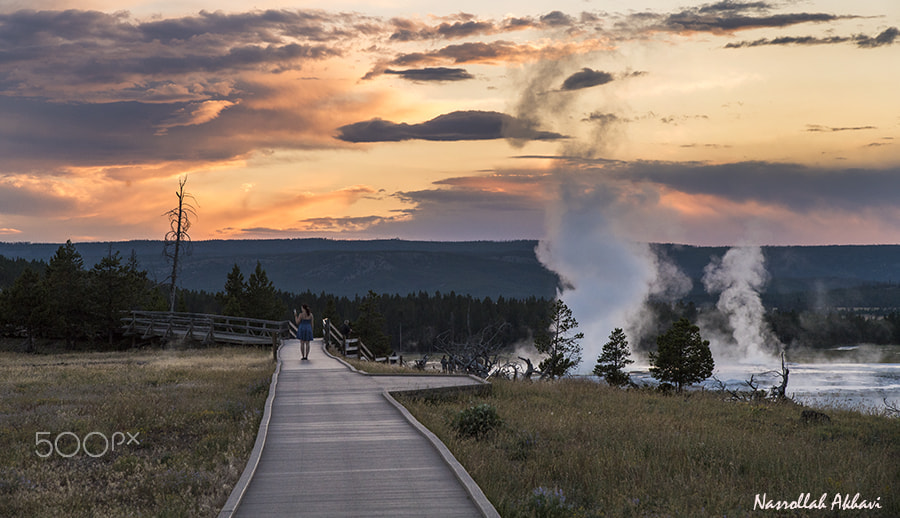 Nikon D5 sample photo. Yellowstone color photography