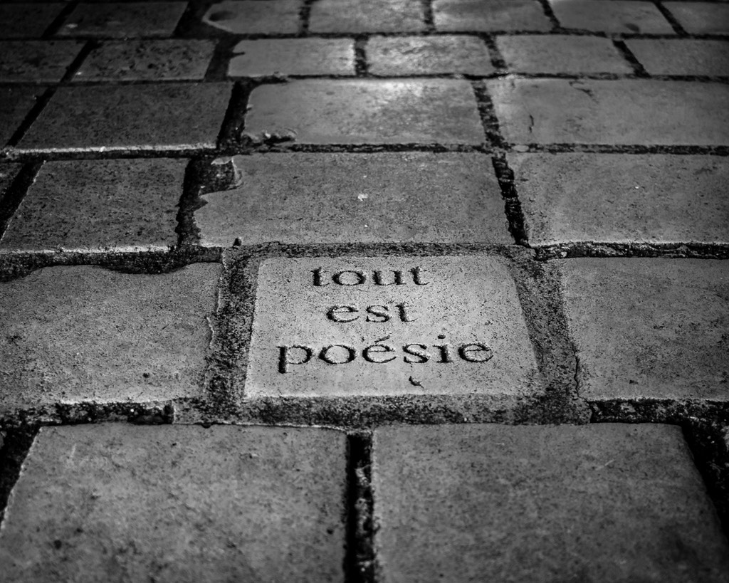 Canon EF-S 24mm F2.8 STM sample photo. Tout est poésie photography
