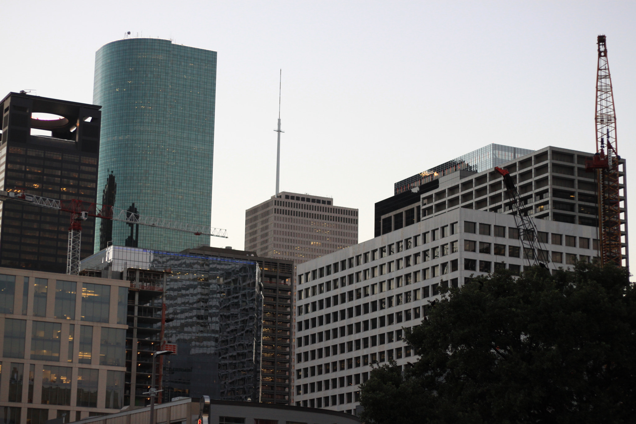 Canon EOS 500D (EOS Rebel T1i / EOS Kiss X3) sample photo. (: photography
