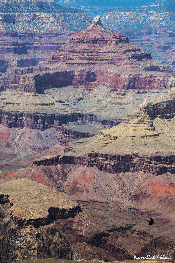 Nikon D5 sample photo. Grand canyon, teton photography