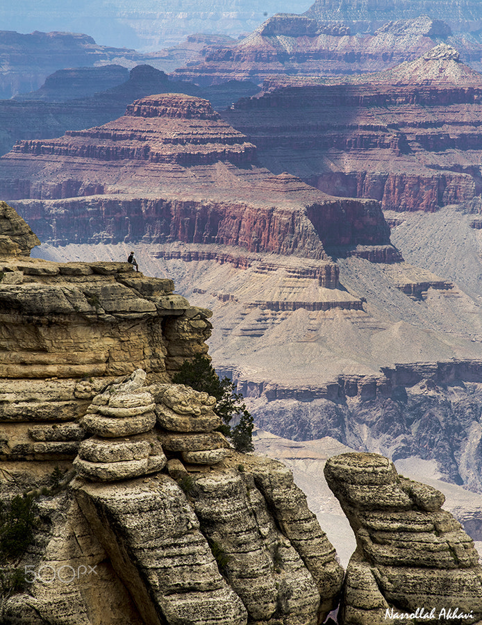 Nikon D5 sample photo. Grand canyon, teton photography