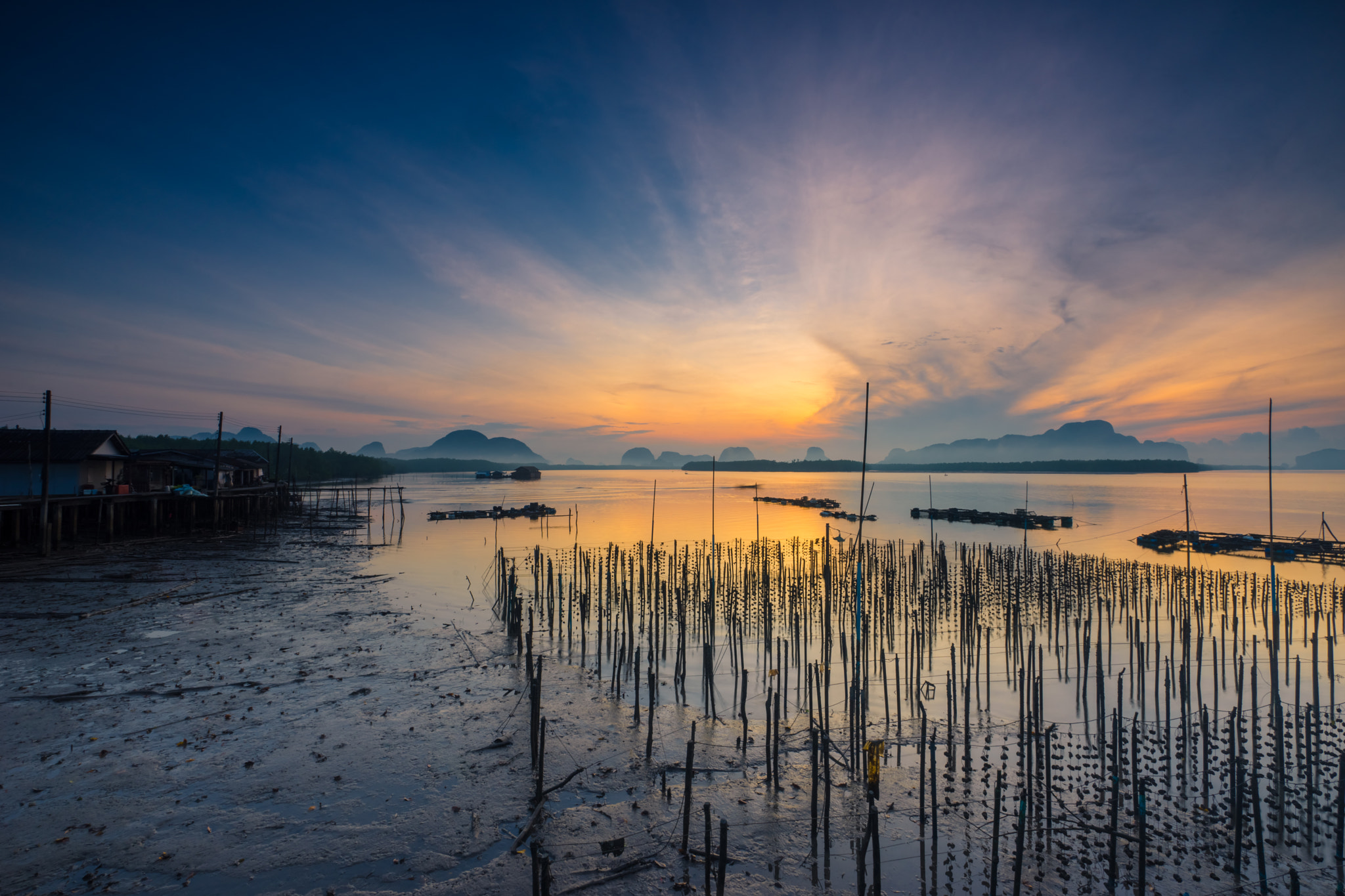 Sony a7 + Sony Vario-Sonnar T* 16-35mm F2.8 ZA SSM sample photo. The mussel on a pole in the sea. ban sam chong , phang nga, thai photography