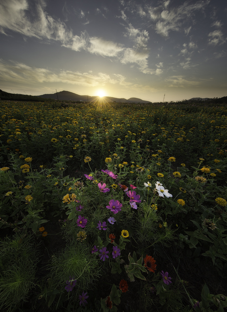 Canon EOS 6D + Canon EF 11-24mm F4L USM sample photo. Weekend morning photography