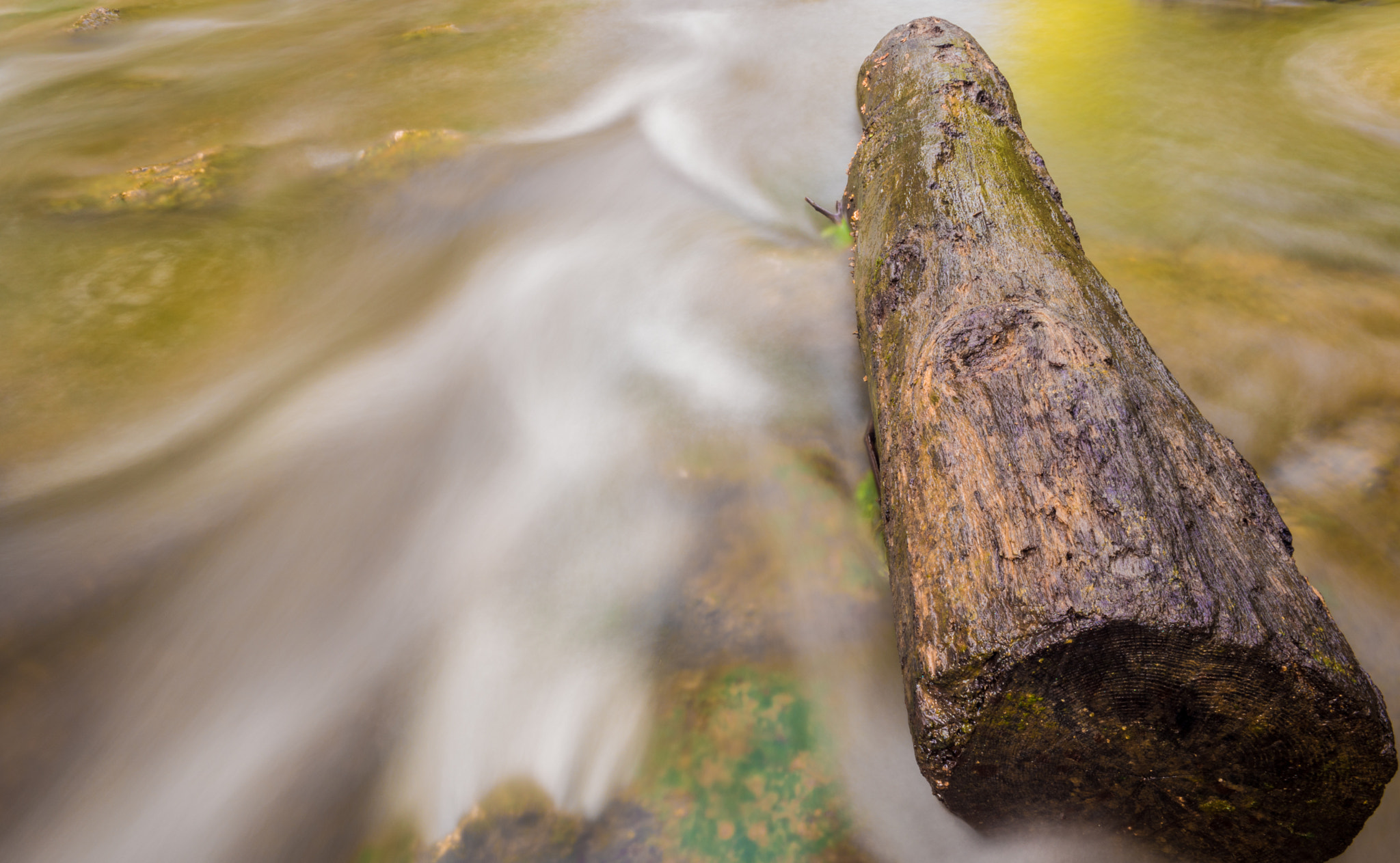 Samsung NX 16mm F2.4 Pancake sample photo. That pretty log photography