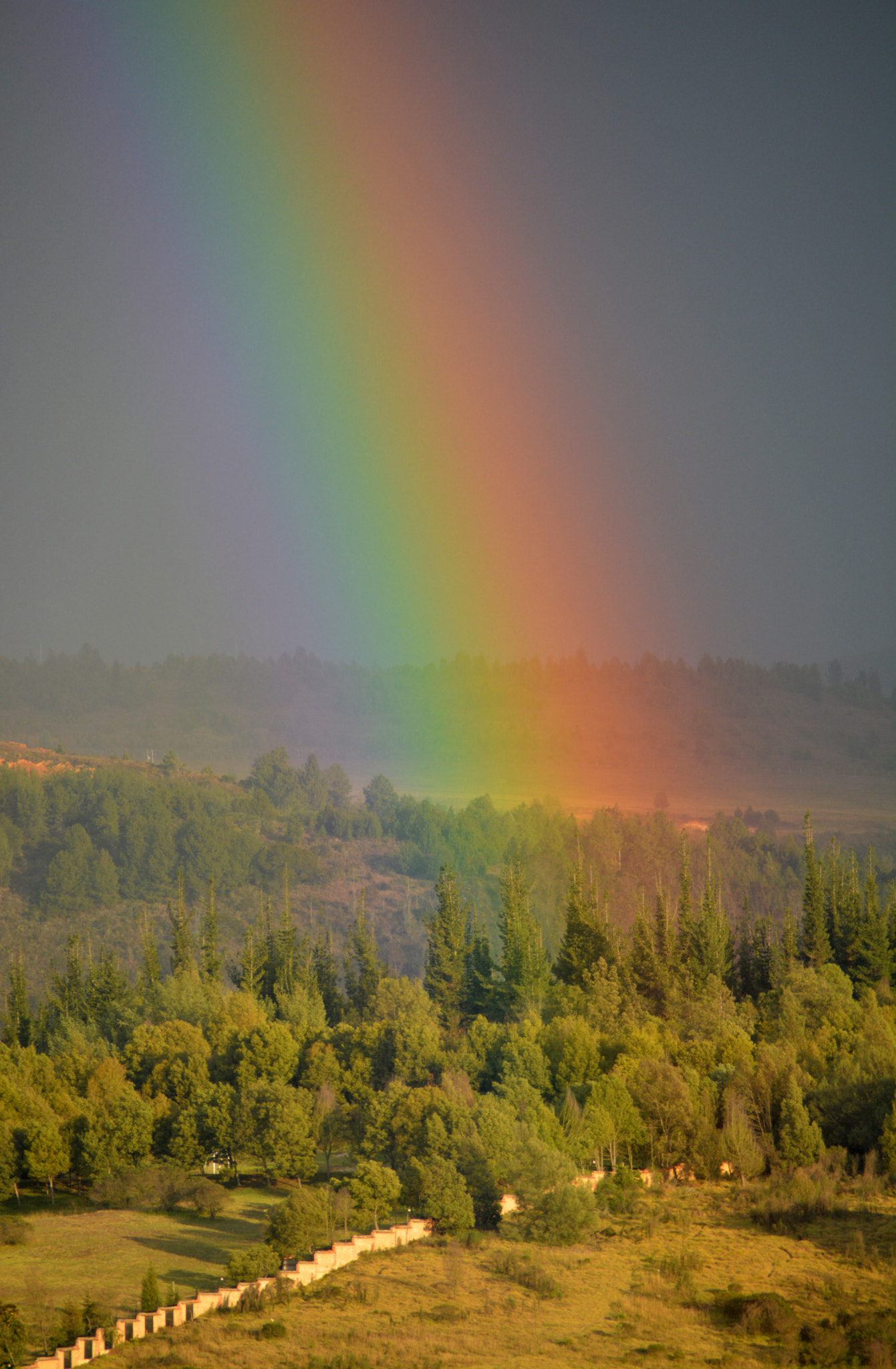 Nikon AF-S Nikkor 500mm F4E FL ED VR sample photo. Rainbow photography