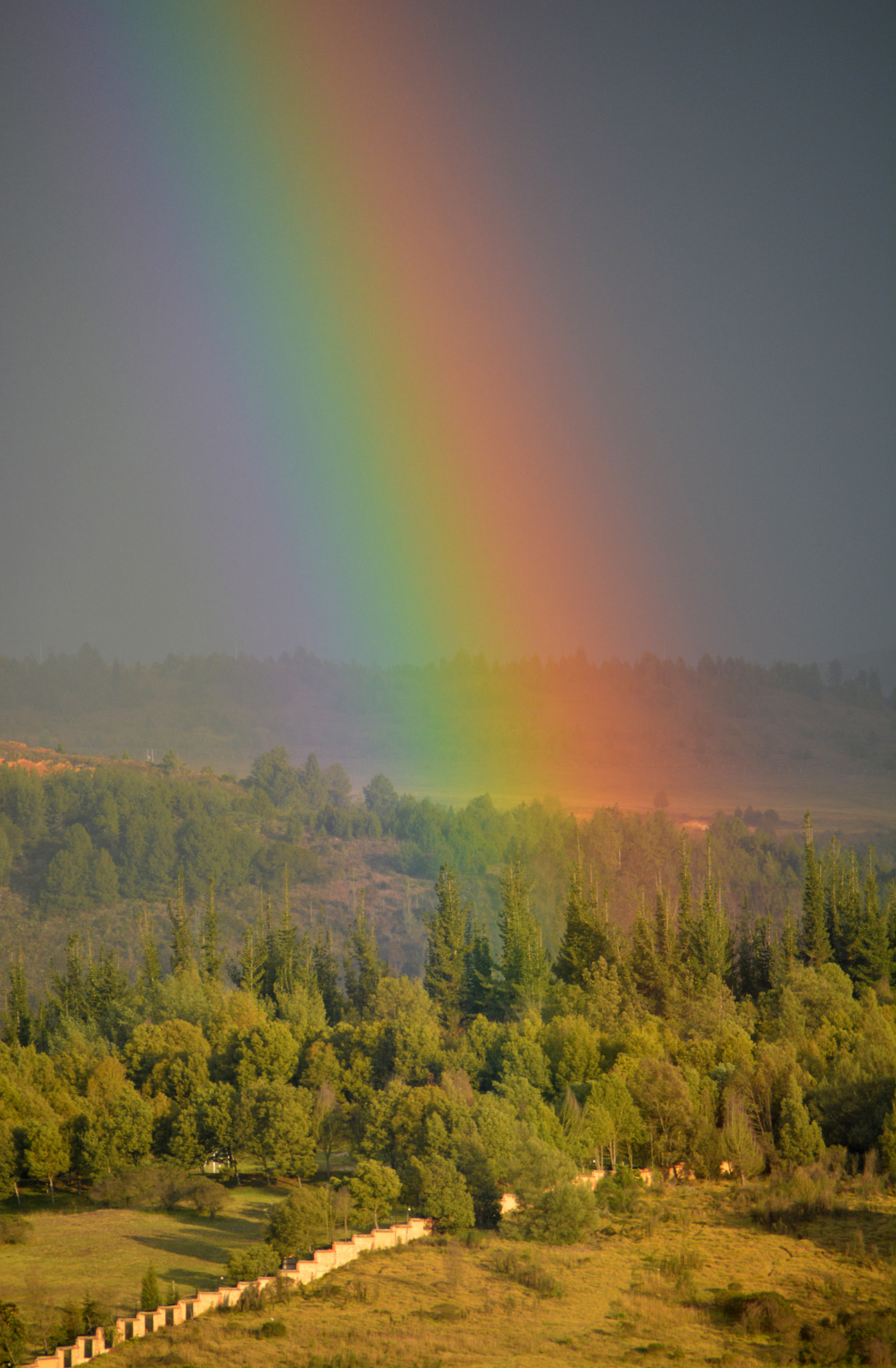 Nikon D5200 + Nikon AF-S Nikkor 500mm F4E FL ED VR sample photo. Rainbow photography