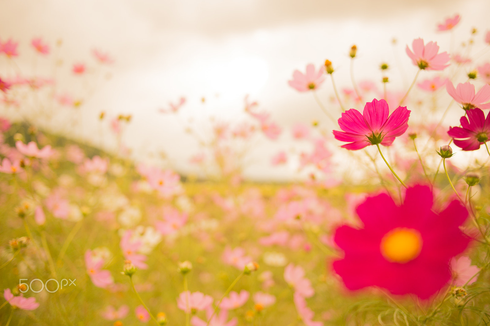 Nikon Df sample photo. Cloudy sky photography