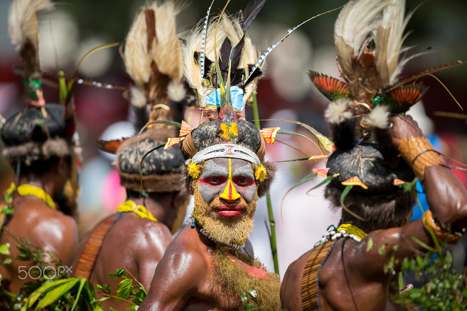 Canon EF 300mm F2.8L IS II USM sample photo. Mt hagen sing sing 2016 photography