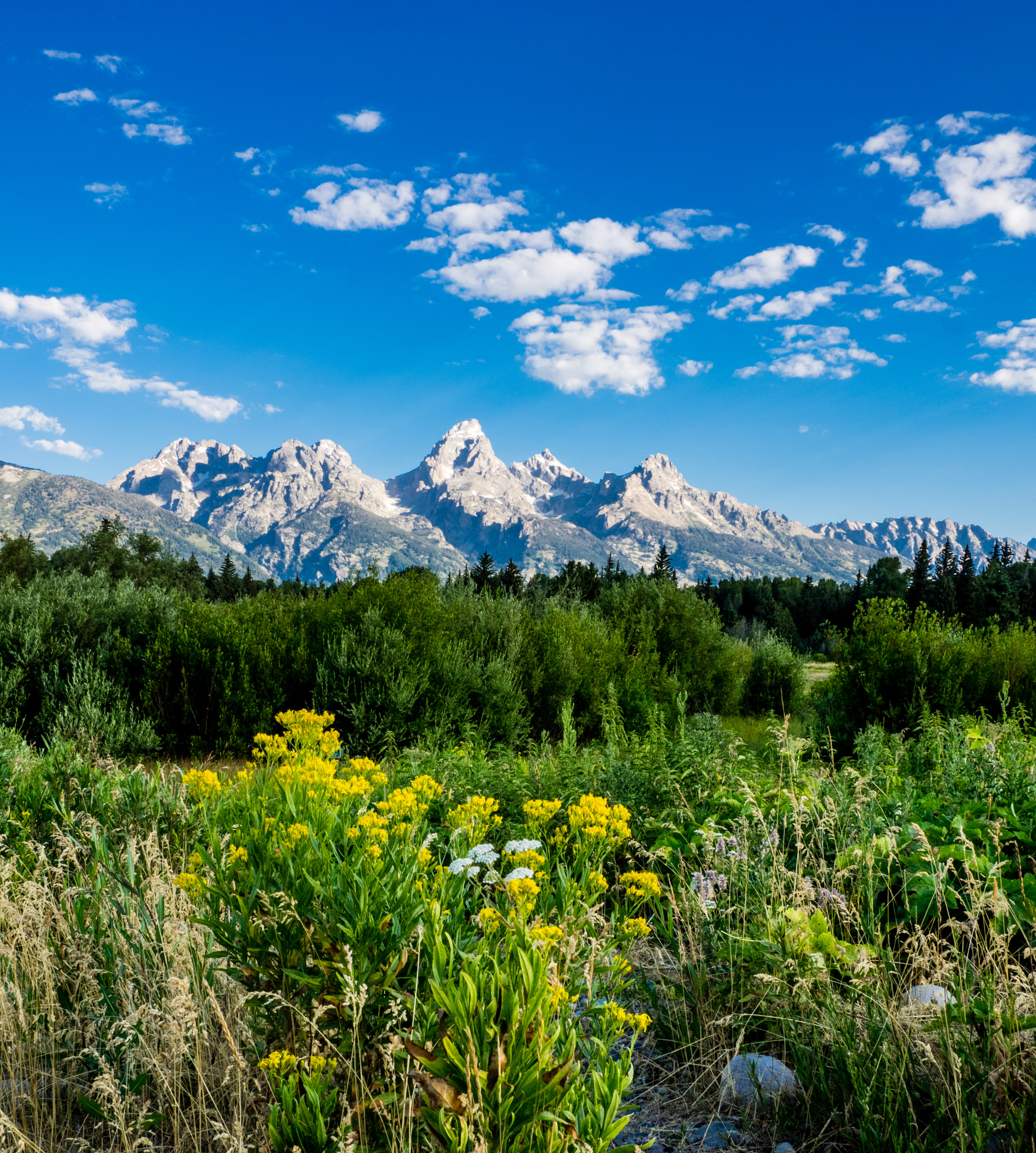 OLYMPUS 11-22mm Lens sample photo. Hiking in grand teton photography